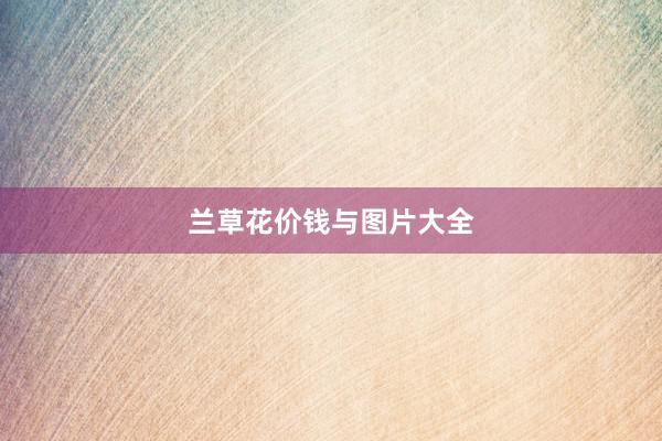 兰草花价钱与图片大全