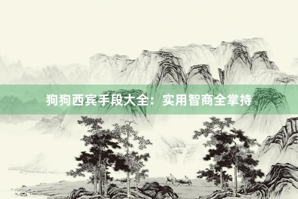 狗狗西宾手段大全：实用智商全掌持